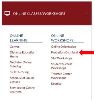 Snapshot of the student portal Online classes workshops